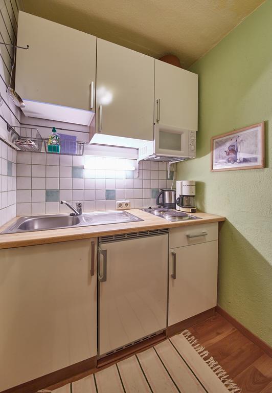 Appartements Alpin ซาลบาคฮินเทอร์เกลมม์ ภายนอก รูปภาพ