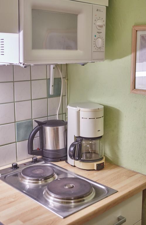 Appartements Alpin ซาลบาคฮินเทอร์เกลมม์ ภายนอก รูปภาพ